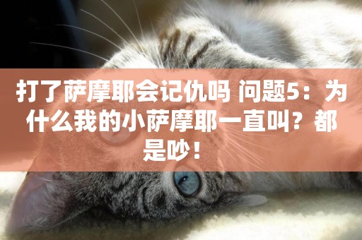 打了薩摩耶會記仇嗎 問題5：為什么我的小薩摩耶一直叫？都是吵！ 