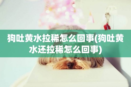 狗吐黃水拉稀怎么回事(狗吐黃水還拉稀怎么回事)