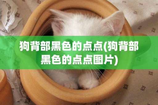 狗背部黑色的點點(狗背部黑色的點點圖片)