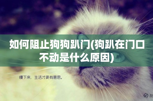 如何阻止狗狗趴門(狗趴在門口不動是什么原因)