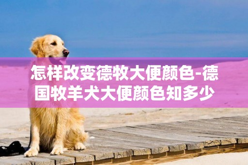 怎樣改變德牧大便顏色-德國牧羊犬大便顏色知多少
