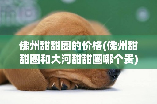 佛州甜甜圈的價格(佛州甜甜圈和大河甜甜圈哪個貴)
