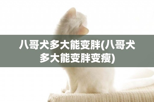 八哥犬多大能變胖(八哥犬多大能變胖變瘦)