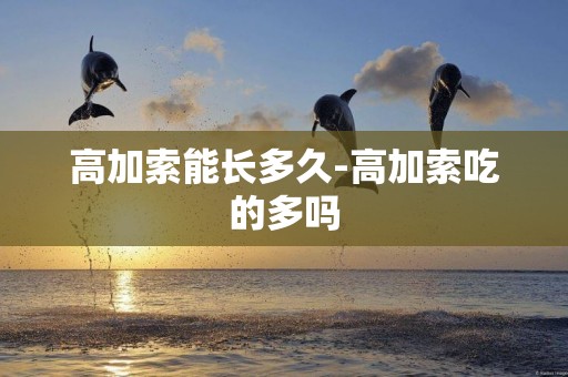 高加索能長多久-高加索吃的多嗎