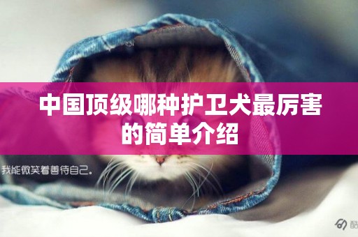 中國頂級哪種護衛犬最厲害的簡單介紹