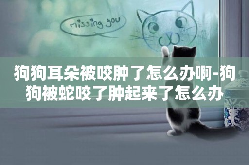 狗狗耳朵被咬腫了怎么辦啊-狗狗被蛇咬了腫起來了怎么辦