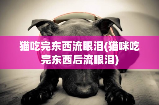 貓吃完東西流眼淚(貓咪吃完東西后流眼淚)