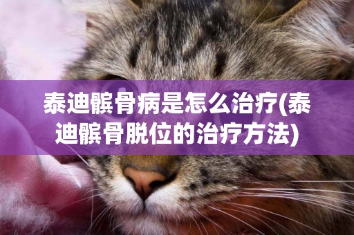 泰迪髕骨病是怎么治療(泰迪髕骨脫位的治療方法)