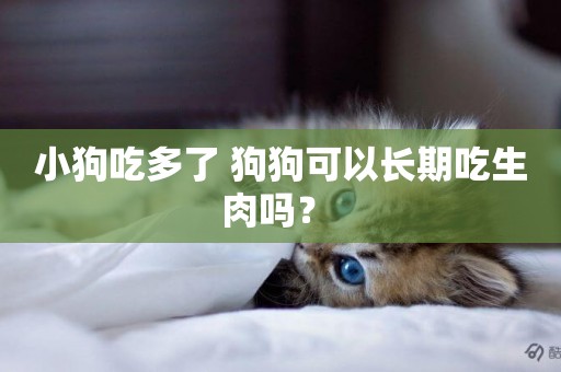小狗吃多了 狗狗可以長期吃生肉嗎？ 