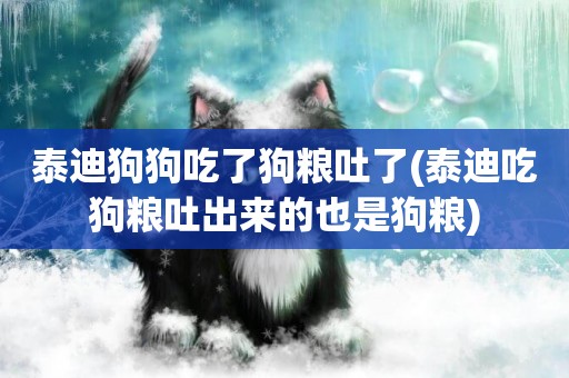 泰迪狗狗吃了狗糧吐了(泰迪吃狗糧吐出來的也是狗糧)