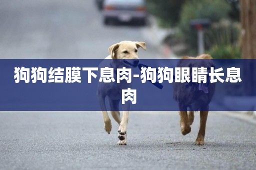 狗狗結膜下息肉-狗狗眼睛長息肉