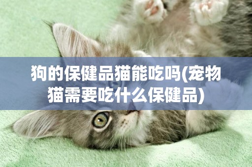 狗的保健品貓能吃嗎(寵物貓需要吃什么保健品)