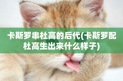 卡斯羅串杜高的后代(卡斯羅配杜高生出來什么樣子)