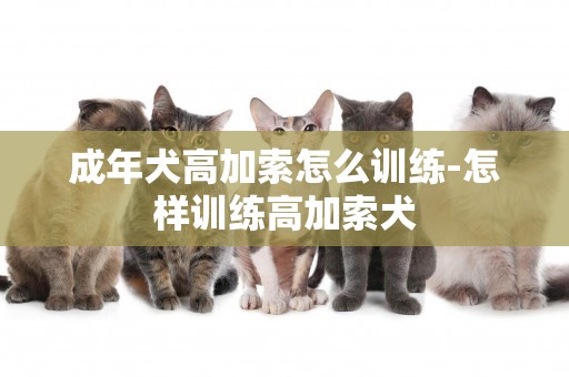 成年犬高加索怎么訓練-怎樣訓練高加索犬