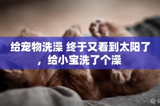 給寵物洗澡 終于又看到太陽了，給小寶洗了個澡 