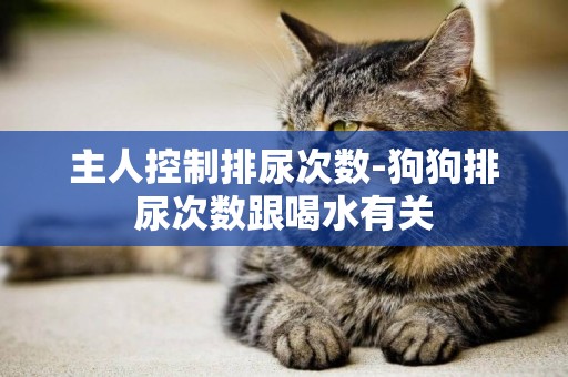 主人控制排尿次數-狗狗排尿次數跟喝水有關