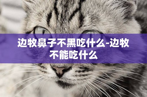 邊牧鼻子不黑吃什么-邊牧不能吃什么