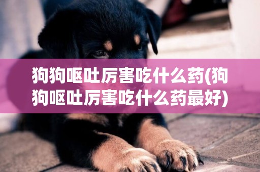 狗狗嘔吐厲害吃什么藥(狗狗嘔吐厲害吃什么藥最好)