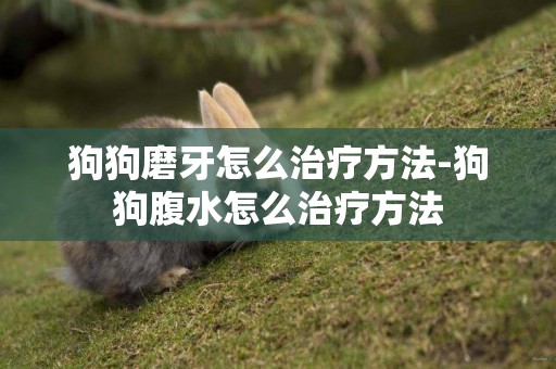 狗狗磨牙怎么治療方法-狗狗腹水怎么治療方法