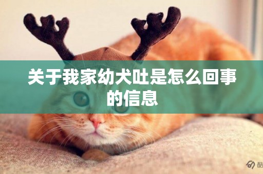 關于我家幼犬吐是怎么回事的信息