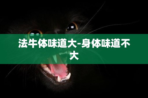 法牛體味道大-身體味道不大