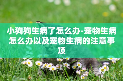 小狗狗生病了怎么辦-寵物生病怎么辦以及寵物生病的注意事項