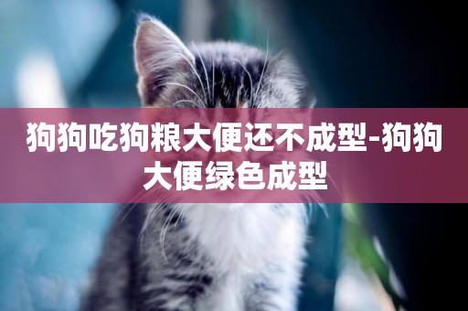 狗狗吃狗糧大便還不成型-狗狗大便綠色成型