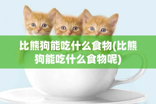 比熊狗能吃什么食物(比熊狗能吃什么食物呢)