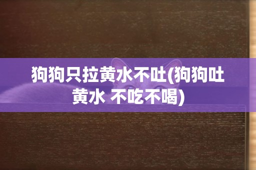 狗狗只拉黃水不吐(狗狗吐黃水 不吃不喝)