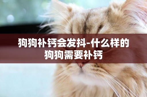 狗狗補鈣會發抖-什么樣的狗狗需要補鈣