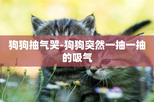 狗狗抽氣哭-狗狗突然一抽一抽的吸氣