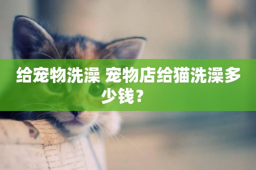 給寵物洗澡 寵物店給貓洗澡多少錢？ 