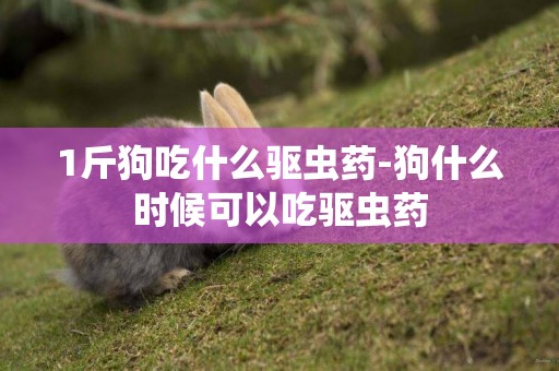 1斤狗吃什么驅蟲藥-狗什么時候可以吃驅蟲藥