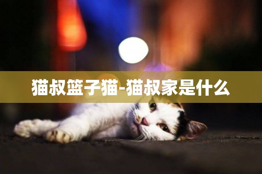貓叔籃子貓-貓叔家是什么