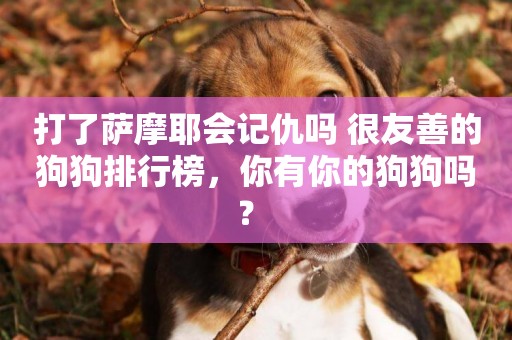 打了薩摩耶會記仇嗎 很友善的狗狗排行榜，你有你的狗狗嗎？ 
