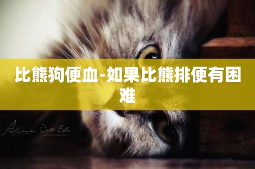 比熊狗便血-如果比熊排便有困難