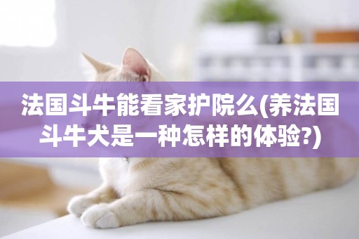 法國斗牛能看家護院么(養法國斗牛犬是一種怎樣的體驗?)
