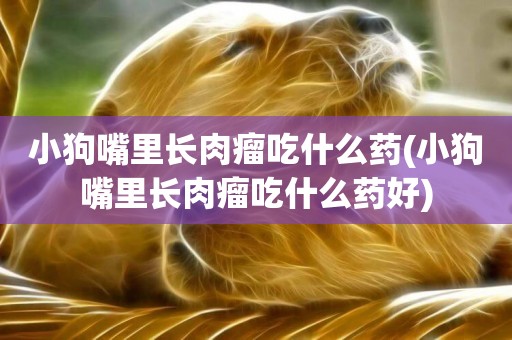小狗嘴里長肉瘤吃什么藥(小狗嘴里長肉瘤吃什么藥好)