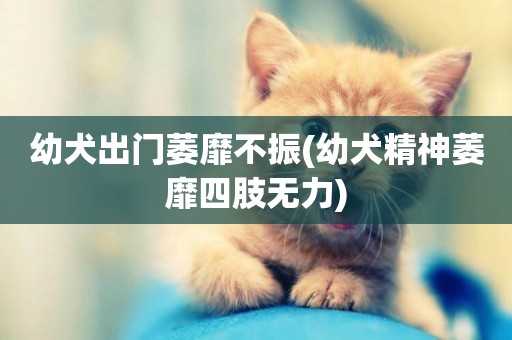 幼犬出門萎靡不振(幼犬精神萎靡四肢無力)