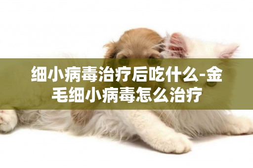 細小病毒治療后吃什么-金毛細小病毒怎么治療