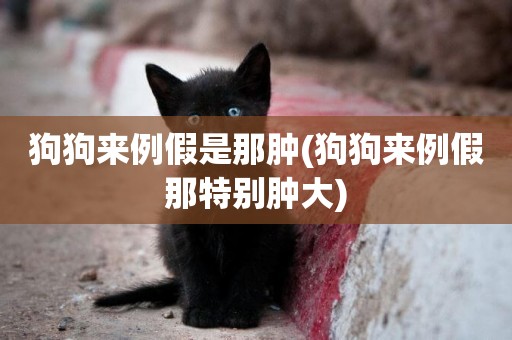狗狗來例假是那腫(狗狗來例假那特別腫大)