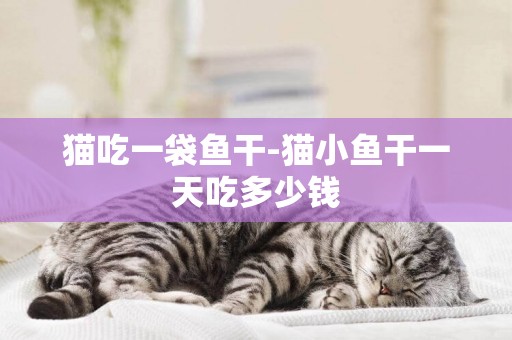 貓吃一袋魚干-貓小魚干一天吃多少錢