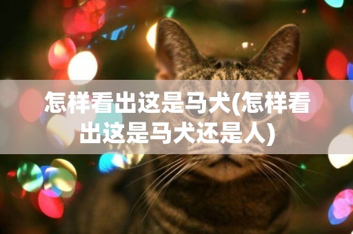 怎樣看出這是馬犬(怎樣看出這是馬犬還是人)
