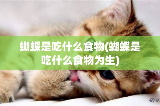 蝴蝶是吃什么食物(蝴蝶是吃什么食物為生)