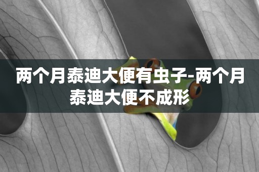 兩個月泰迪大便有蟲子-兩個月泰迪大便不成形