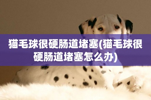 貓毛球很硬腸道堵塞(貓毛球很硬腸道堵塞怎么辦)