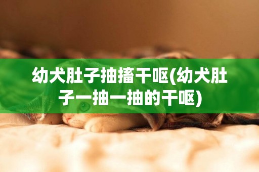 幼犬肚子抽搐干嘔(幼犬肚子一抽一抽的干嘔)