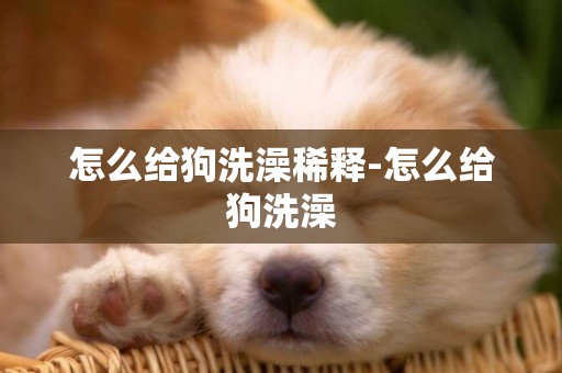 怎么給狗洗澡稀釋-怎么給狗洗澡