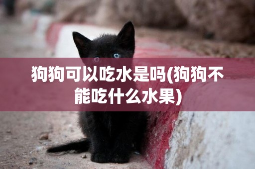 狗狗可以吃水是嗎(狗狗不能吃什么水果)