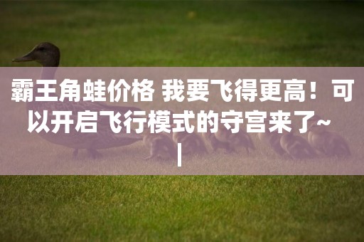 霸王角蛙價格 我要飛得更高！可以開啟飛行模式的守宮來了~ | 
